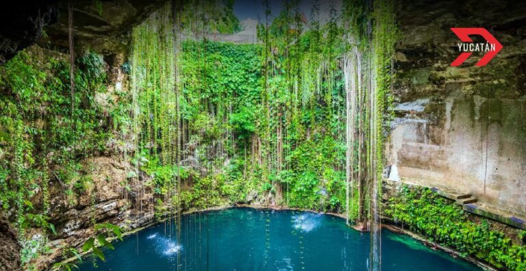 Top 5 Mejores Cenotes de Yucatán