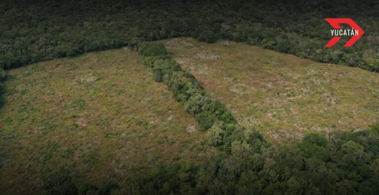 Palacio Maya X’baatún